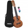 CHITARA ACUSTICA CASCHA HH 2179