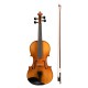 VIOARA ACUSTICA CASCHA HH 2050