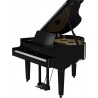 Pian Digital GP-9M Polished Ebony Moving keys