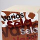 CAJON SELA SE 133 EN