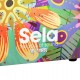 CAJON SELA SE 179
