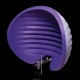 PARAVANT MICROFON ASTON MICROPHONES HALO MOUNTING HARDWARE