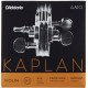 Set Corzi Vioara D'addario KA310 4/4M
