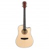 Chitara Acustica Cascha CGA200 + Pickguard + Husa