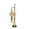 Trompeta Bb Cascha EH-3820-EN Fox Set Incepatori
