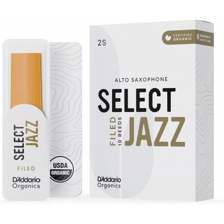 ANCIE SAXOFON D'ADDARIO ORSF10ASX2S
