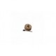 BUFFALO DRUM REMO E1-0612-12