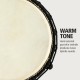 DJEMBE MEINL HDJ1-M