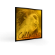 COARDA VIOLONCEL PIRASTRO 335120