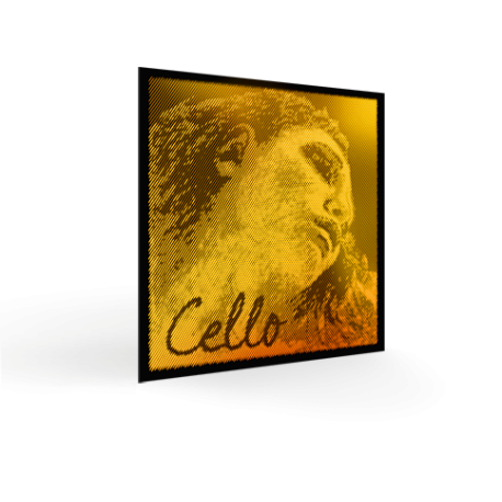 COARDA VIOLONCEL PIRASTRO 335120