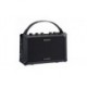 Combo Chitara Acustica Roland Mobile AC