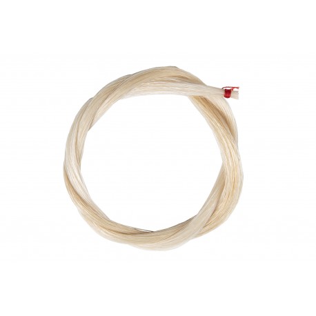 PAR ARCUS VIOLONCEL GEWA 450.955