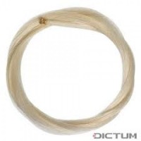 PAR ARCUS DICTUM 111046