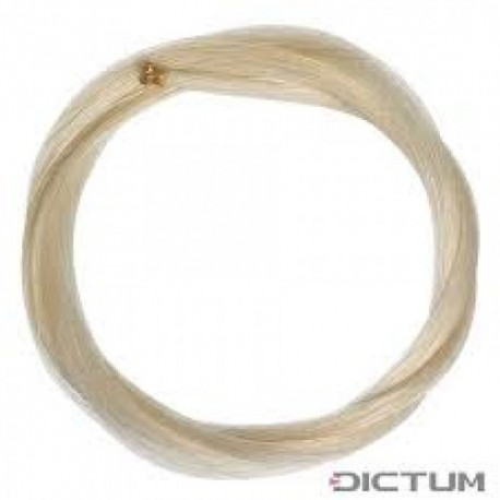 PAR ARCUS DICTUM 111046