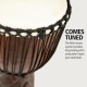 DJEMBE MEINL PROADJ2-L