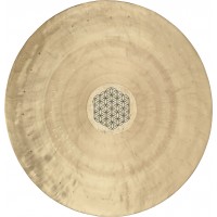 GONG. MEINL WGFOL20