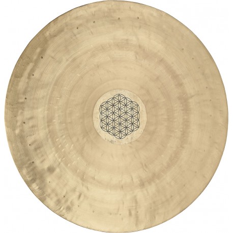 GONG. MEINL WGFOL20