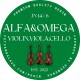 SACAZ VIOARA AlteBranduri DOLCE VANGELO VIOLIN