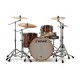 Set Tobe Acustice Sonor Prolite Stage Elder Tree