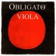 SET CORZI VIOLA PIRASTRO 421031