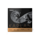 Set Corzi Contrabas d'Addario K610 3/4L