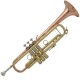 TROMPETA BACH LR190-43B