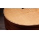 CHITARA ACUSTICA TAYLOR GS Mini Sapele/Spruce