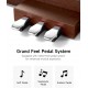 PIAN DIGITAL DONNER DDP-200 PRO BROWN