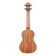 UKULELE CONCERT CASCHA HH-2605