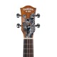 UKULELE CONCERT CASCHA HH-2605