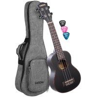 UKULELE CASCHA HH-2262