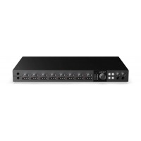 INTERFATA AUDIO AUDIENT ID48
