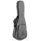 UKULELE TENOR CASCHA HH-2049