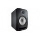 Monitor Studio Tannoy Reveal 802