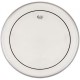 FATA TOBA REMO 8" ENCORE PINSTRIPE CLEAR