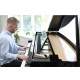 PIAN DIGITAL KAWAI NV12