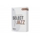 ANCIE SAXOFON ALTO D'ADDARIO ORRS10ASX3S