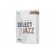 ANCIE SAXOFON ALTO D'ADDARIO ORRS10ASX2H