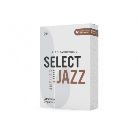 ANCIE SAXOFON ALTO D'ADDARIO ORRS10ASX2H