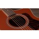 CHITARA ELECTRO-ACUSTICA TAYLOR 114ce Special Edition Terracotta