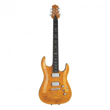 Chitara Electrica BC Rich Assassin QX6