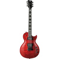 CHITARA ELECTRICA VGS ERUPTION SELECT EVERTUNE