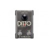 PROCESOR EFECTE VOCE TC HELICON DITTO MIC LOOPER
