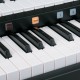 ORGA DIGITALA ROLAND AT-75