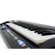 SINTETIZATOR ROLAND AX-09 LUCINA BLACK